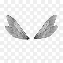 水牛翼仙女-艺术翅膀-空若网 水牛翼仙女-艺术翅膀-空若网