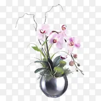 ���� ����ֲ�� ����-������