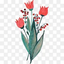 花 开花植物 植物-空若网 花 开花植物 植物-空若网