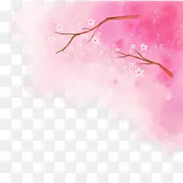 粉色 花 植物-空若网 粉色 花 植物-空若网