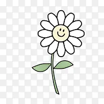 花 花瓣 植物-空若网 花 花瓣 植物-空若网