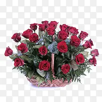 花朵 玫瑰 开花植物-空若网 花朵 玫瑰 开花植物-空若网