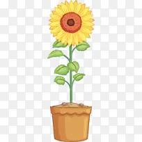 �� ֲ�� ��-������