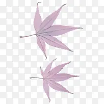 叶 植物 树-空若网 叶 植物 树-空若网