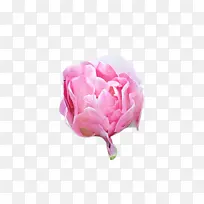 ���� ��ɫ ����-������