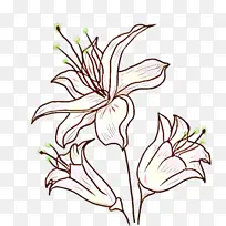 卡通 花 植物-空若网 卡通 花 植物-空若网