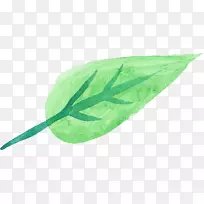 ˮ�ʻ�Ҷ��ˮ��-������