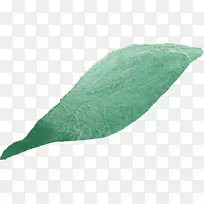 透明水彩画叶叶水彩-空若网 透明水彩画叶叶水彩-空若网