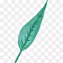 ��Ҷˮ�ʻ�-��Ҷˮ�ʻ�-������