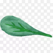 ͸Ã÷Ë®²Ê»Ò¶Ò¶Ë®²Ê-¿ÕÈôÍø ͸Ã÷Ë®²Ê»Ò¶Ò¶Ë®²Ê-¿ÕÈôÍø