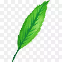 ±¡ºÉÒ¶²ÝË®²Ê»-Ò¶Ë®²Ê-¿ÕÈôÍø ±¡ºÉÒ¶²ÝË®²Ê»-Ò¶Ë®²Ê-¿ÕÈôÍø