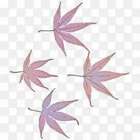 Ҷ�� ֲ�� ��ľ-������