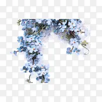 ��ɫ �� ֲ��-������