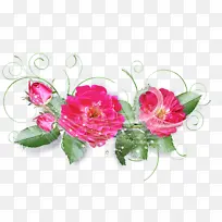 花 开花植物 粉色-空若网 花 开花植物 粉色-空若网