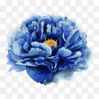 蓝色 花 花瓣-空若网 蓝色 花 花瓣-空若网