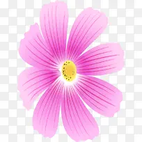 开花植物 花瓣 花朵-空若网 开花植物 花瓣 花朵-空若网