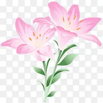 花 开花植物 花瓣-空若网 花 开花植物 花瓣-空若网