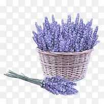 Þ¹ÒÂ²Ý »¨ Ö²Îï-¿ÕÈôÍø Þ¹ÒÂ²Ý »¨ Ö²Îï-¿ÕÈôÍø