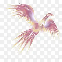 ��ɫ ��ɫ ֲ��-������