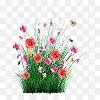 花卉 开花植物 植物-空若网 花卉 开花植物 植物-空若网