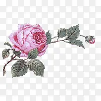 花 开花植物 植物-空若网 花 开花植物 植物-空若网