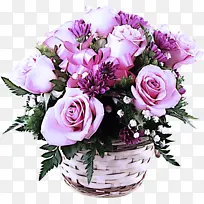 花朵 花束 切花-空若网 花朵 花束 切花-空若网