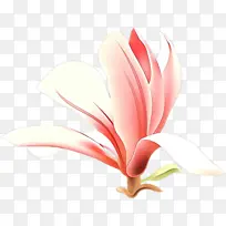 卡通 花瓣 花-空若网 卡通 花瓣 花-空若网