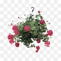 �� ����ֲ�� ֲ��-������