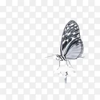 ���� ���� �ɶ�ͺ���-������