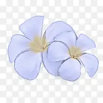 花瓣 花 弗兰吉帕尼-空若网 花瓣 花 弗兰吉帕尼-空若网