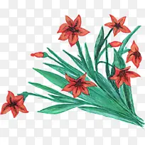 花 开花植物 植物-空若网 花 开花植物 植物-空若网