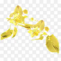 卡通 黄色 花-空若网 卡通 黄色 花-空若网