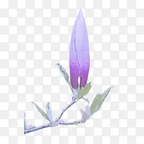 �� ֲ�� Ҷ-������