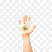 卡通 手 手指-空若网 卡通 手 手指-空若网