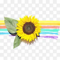 水彩画 颜料 湿墨-空若网 水彩画 颜料 湿墨-空若网