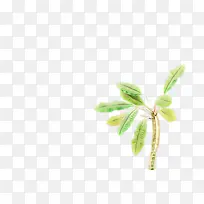 ��ͨ ��ɫ ��-������