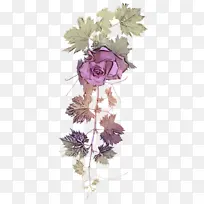 花 植物 切花-空若网 花 植物 切花-空若网