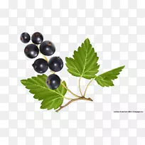 Ë®¹ûɳÀÀ¶Ý®Í¼°¸Éè¼Æ.À¶Ý®-¿ÕÈôÍø Ë®¹ûɳÀÀ¶Ý®Í¼°¸Éè¼Æ.À¶Ý®-¿ÕÈôÍø