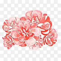 ��ͨ ��ɫ ����-������