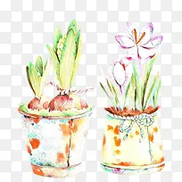 卡通 花盆 花-空若网 卡通 花盆 花-空若网