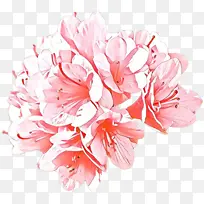 卡通 花卉 粉色-空若网 卡通 花卉 粉色-空若网