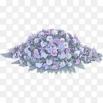 �ɹ���Ʒ�� ޹�²� ����-������