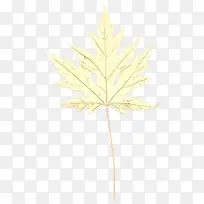 卡通 叶子 树-空若网 卡通 叶子 树-空若网