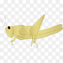 卡通 昆虫 蚱蜢-空若网 卡通 昆虫 蚱蜢-空若网