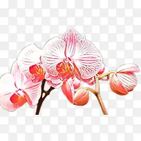 卡通 花卉 开花植物-空若网 卡通 花卉 开花植物-空若网