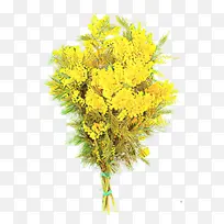 卡通 花卉 植物-空若网 卡通 花卉 植物-空若网