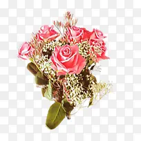 ��ͨ ���� ����-������