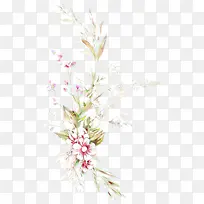 卡通 花 植物-空若网 卡通 花 植物-空若网