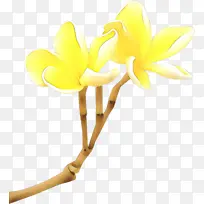 ��ͨ ��ɫ ��-������