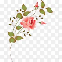 �� ֲ�� ����-������